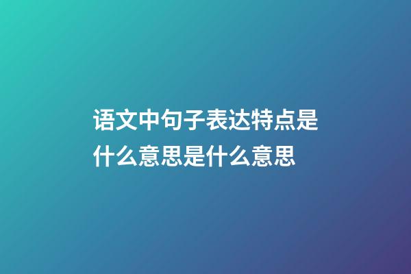 语文中句子表达特点是什么意思是什么意思