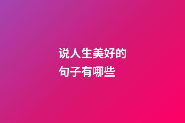 说人生美好的句子有哪些
