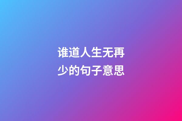 谁道人生无再少的句子意思