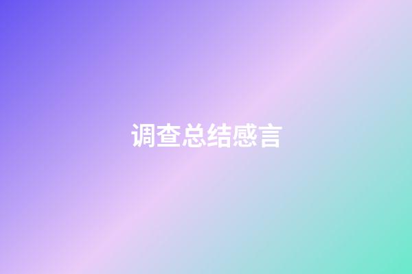调查总结感言
