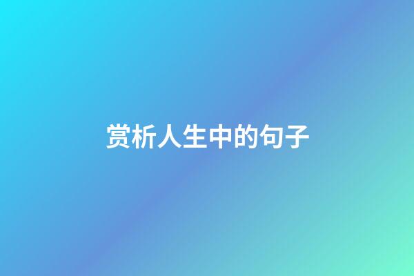 赏析人生中的句子