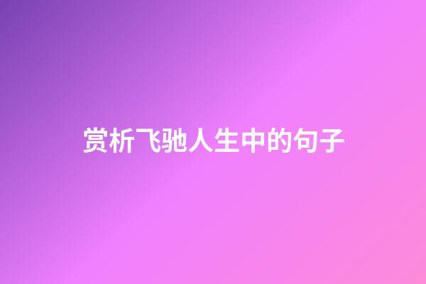 赏析飞驰人生中的句子