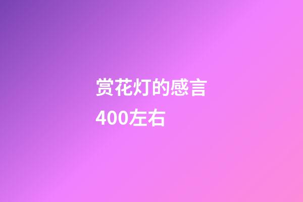 赏花灯的感言400左右