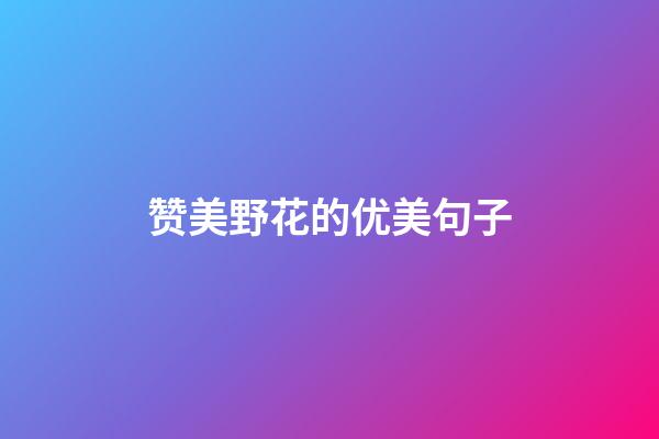 赞美野花的优美句子