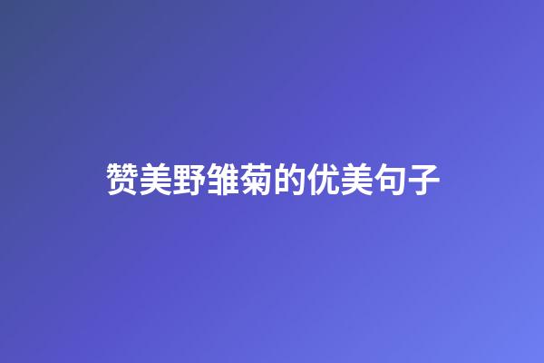 赞美野雏菊的优美句子