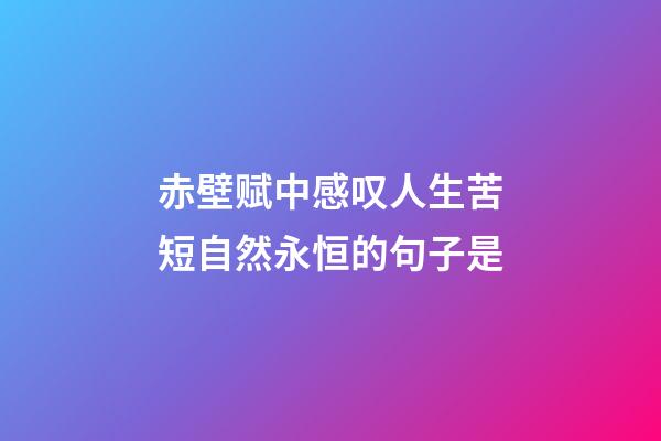 赤壁赋中感叹人生苦短自然永恒的句子是