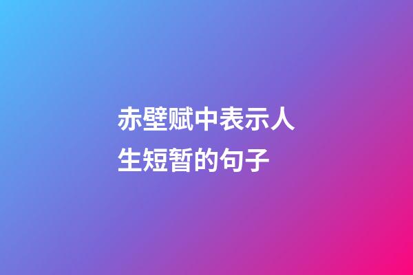 赤壁赋中表示人生短暂的句子