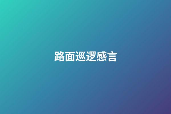 路面巡逻感言