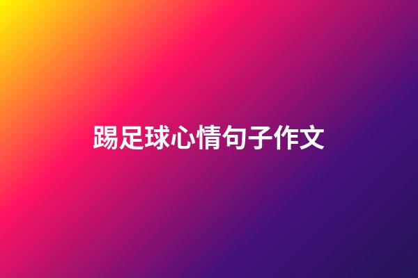 踢足球心情句子作文