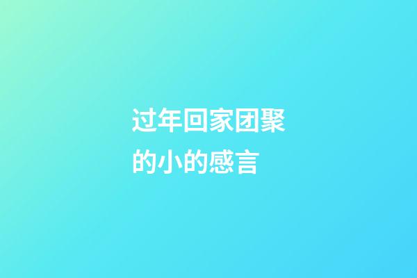 过年回家团聚的小的感言