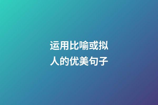 运用比喻或拟人的优美句子