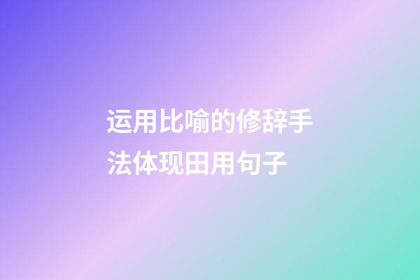 运用比喻的修辞手法体现田用句子