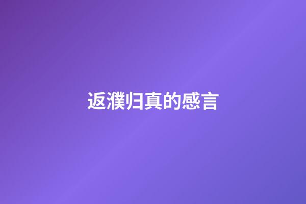 返濮归真的感言