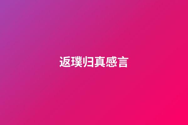 返璞归真感言