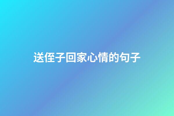 送侄子回家心情的句子