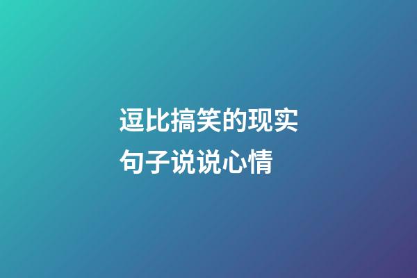 逗比搞笑的现实句子说说心情