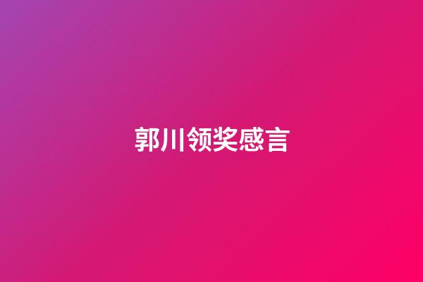 郭川领奖感言