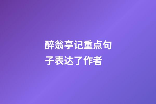 醉翁亭记重点句子表达了作者