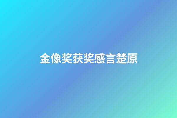 金像奖获奖感言楚原