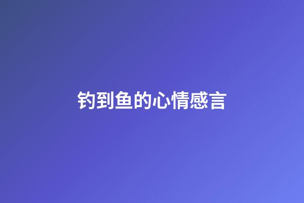 钓到鱼的心情感言