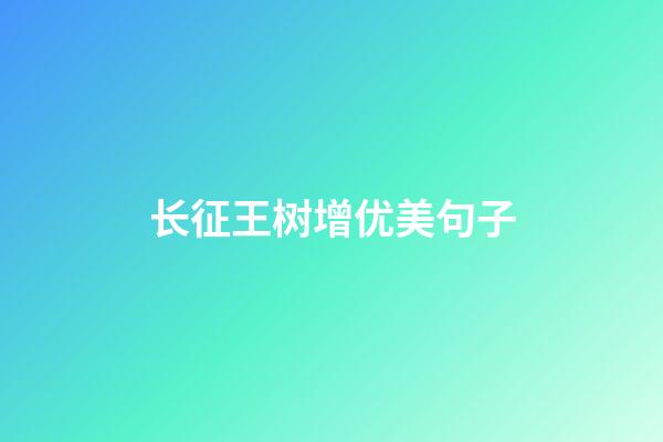 长征王树增优美句子