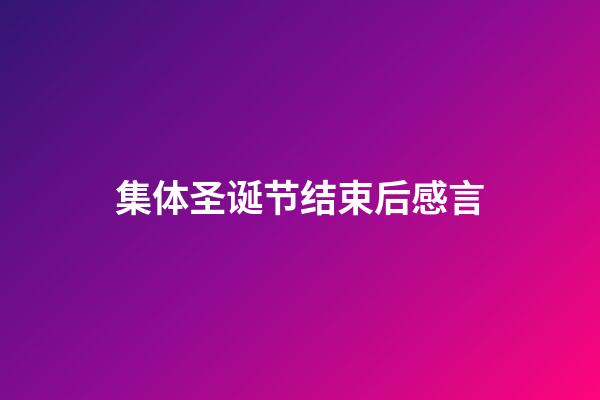 集体圣诞节结束后感言