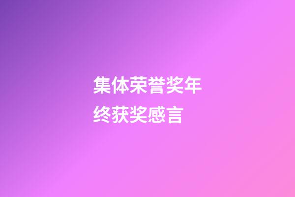 集体荣誉奖年终获奖感言