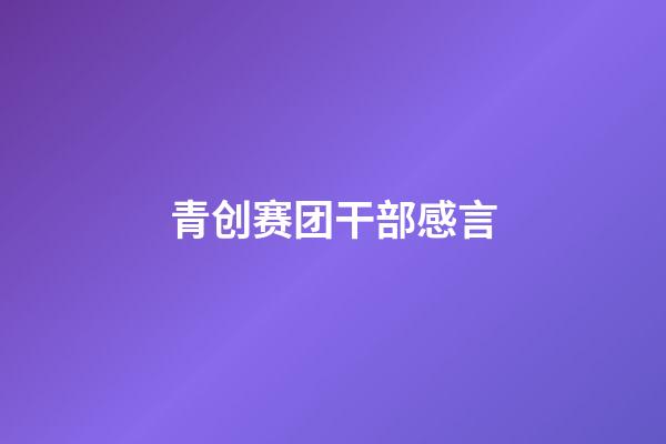 青创赛团干部感言