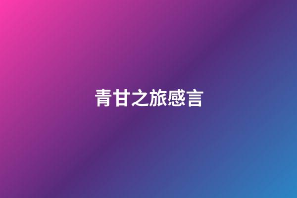 青甘之旅感言