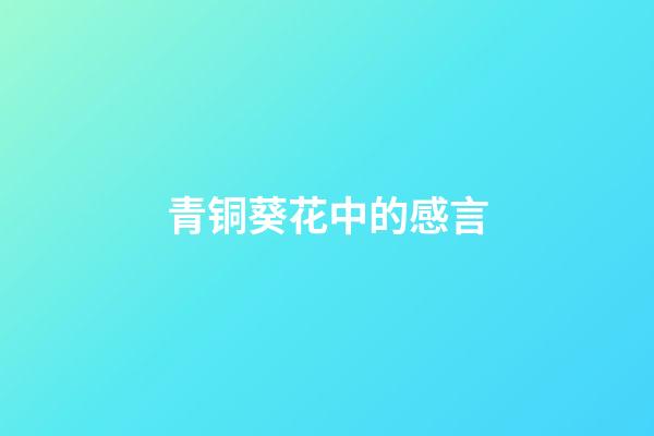 青铜葵花中的感言