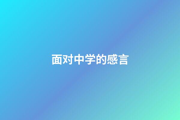 面对中学的感言