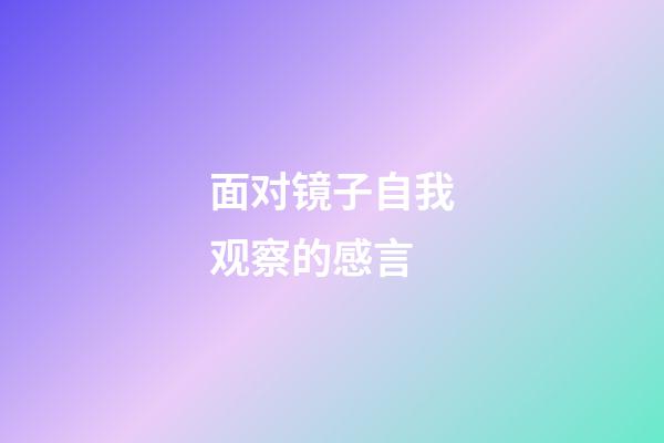 面对镜子自我观察的感言