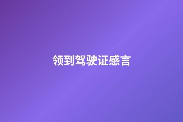 领到驾驶证感言