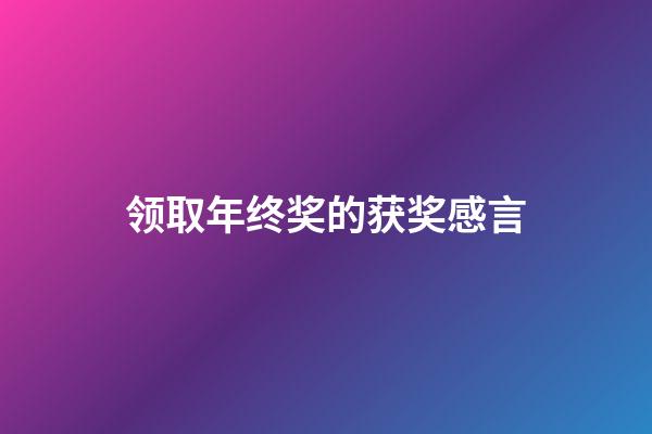领取年终奖的获奖感言