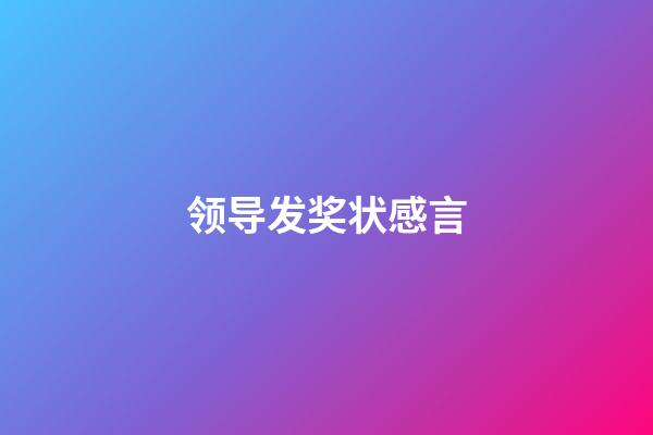 领导发奖状感言