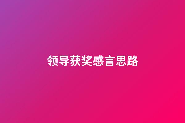 领导获奖感言思路