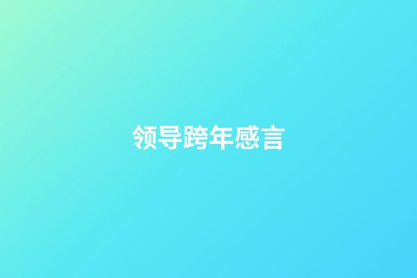 领导跨年感言