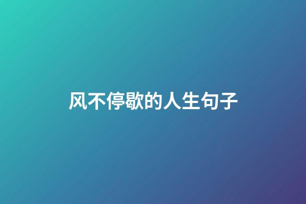 风不停歇的人生句子