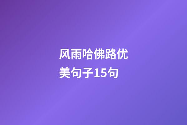 风雨哈佛路优美句子15句