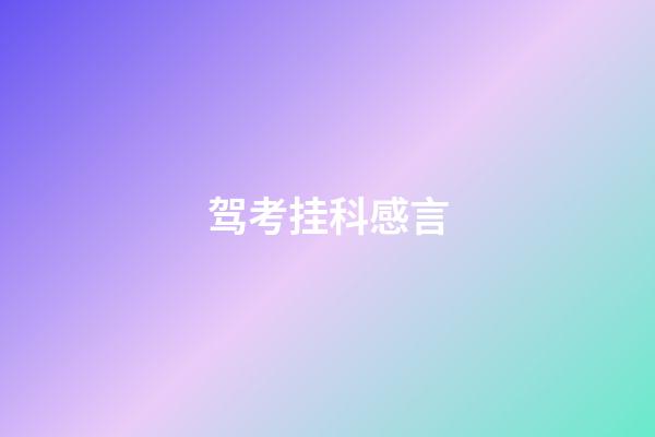 驾考挂科感言