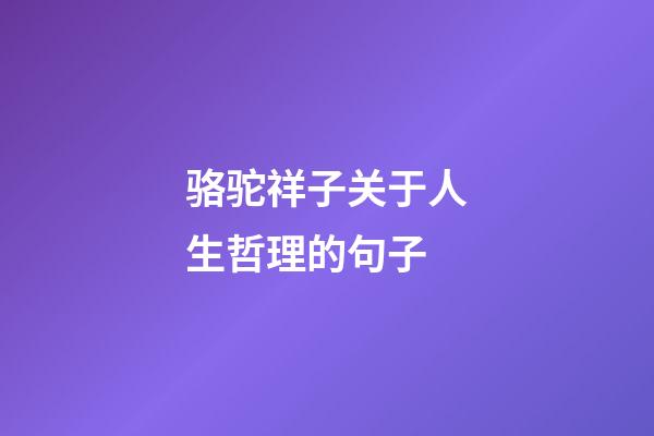 骆驼祥子关于人生哲理的句子