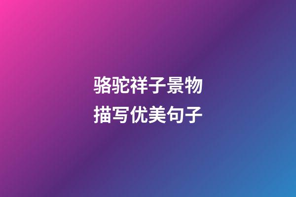 骆驼祥子景物描写优美句子