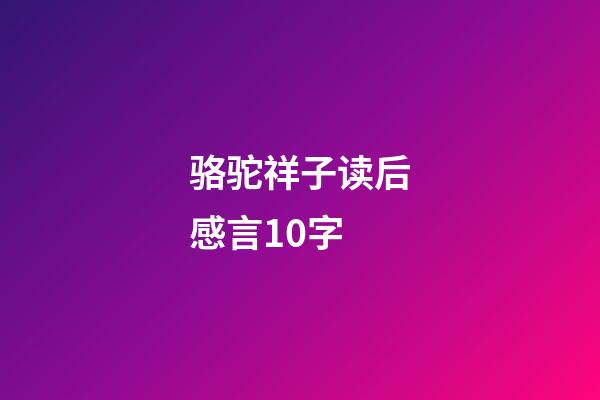 骆驼祥子读后感言10字