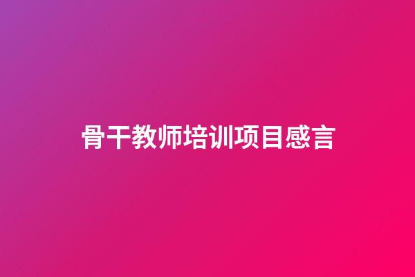 骨干教师培训项目感言