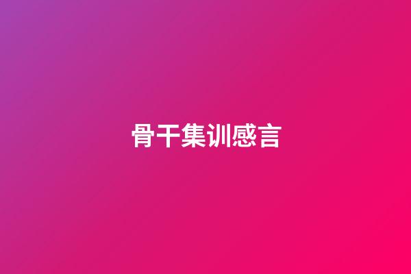 骨干集训感言