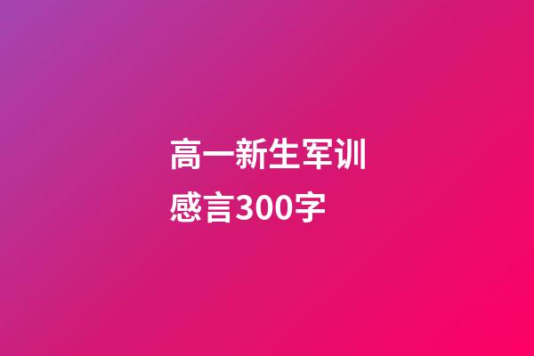 高一新生军训感言300字