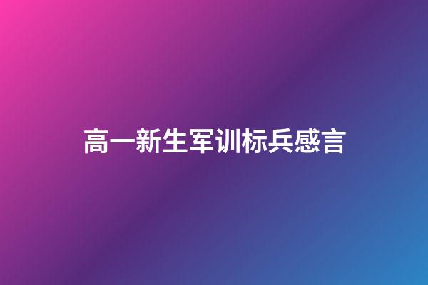 高一新生军训标兵感言
