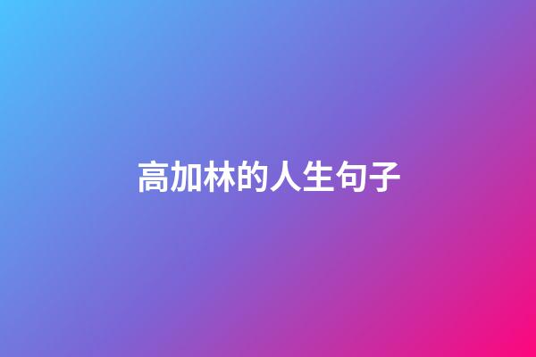 高加林的人生句子