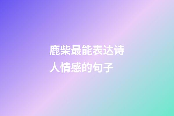 鹿柴最能表达诗人情感的句子