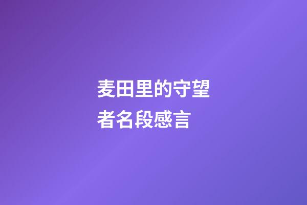 麦田里的守望者名段感言